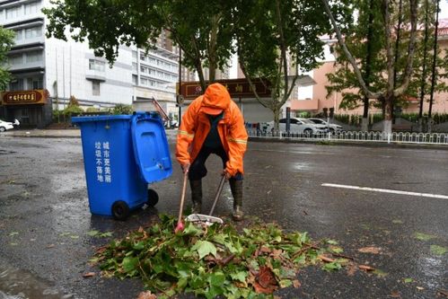 新沂城管 全力当好风雨天的 守路人 ,市民安全的 撑伞人